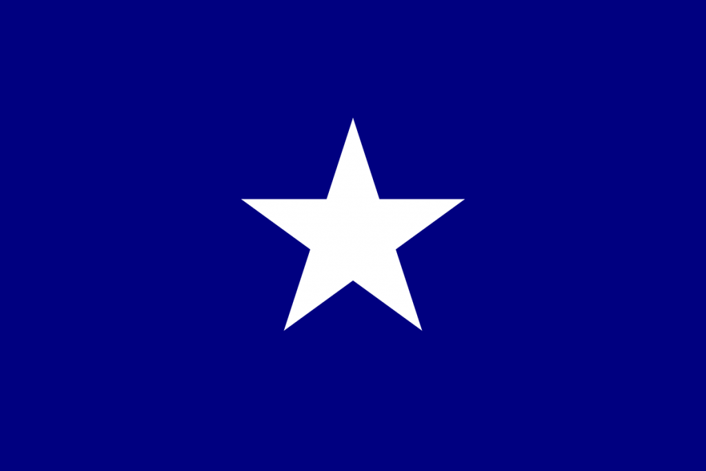 bonnie blue flag